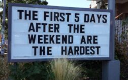 first 5 days first 5 days